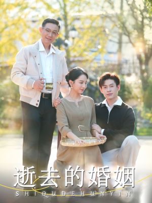 逝去的婚姻(60集)孔莹莹