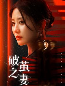 破茧之妻&婚姻的救赎(46集)