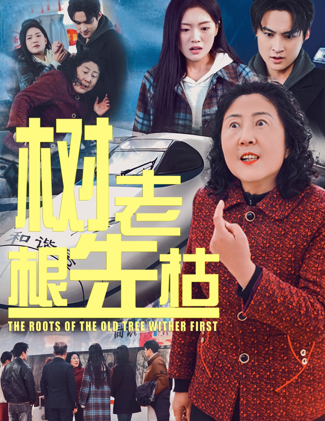 树老根先枯(33集)