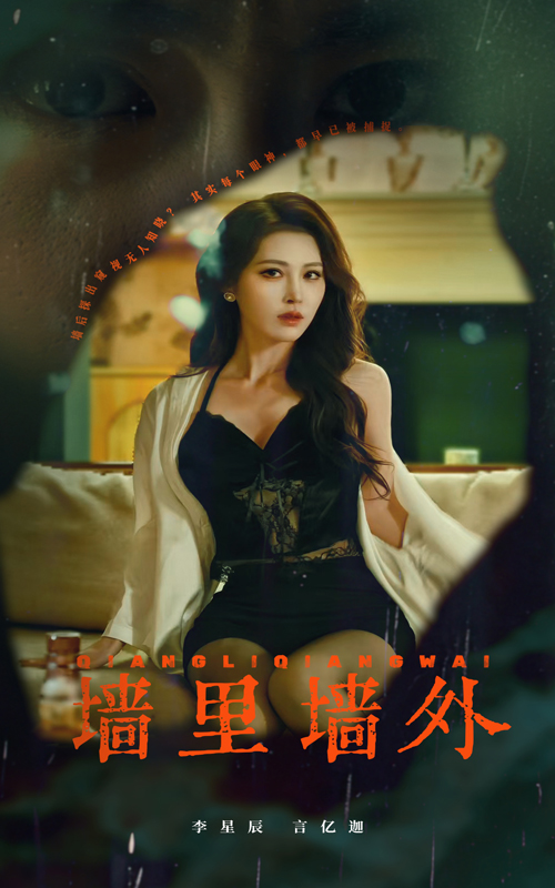 墙里墙外(55集)李星辰