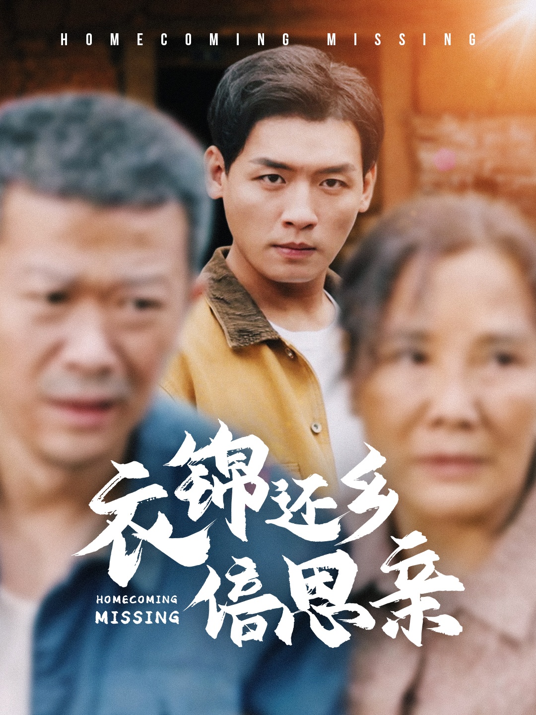 衣锦还乡倍思亲(55集)