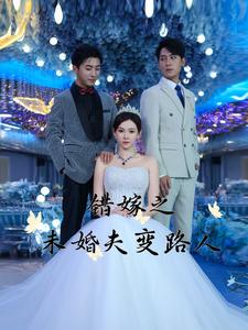 错嫁之未婚夫变路人(55集)