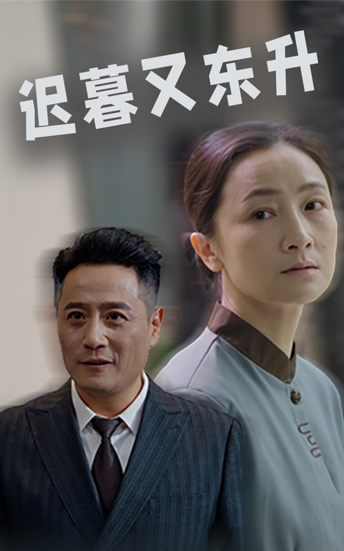 迟暮又东升(35集)