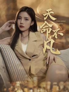 天命不凡(28集)