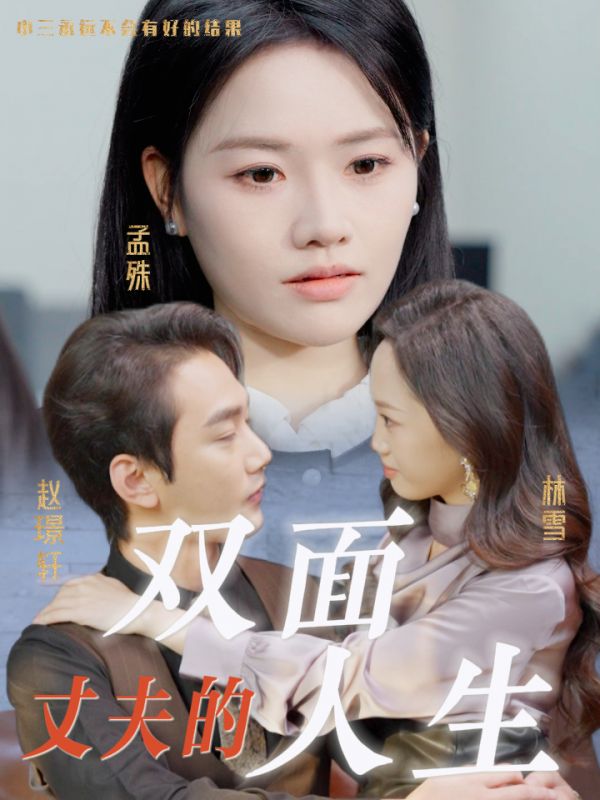 丈夫的双面人生(30集)