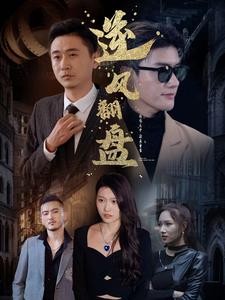 新:逆风翻盘(94集)