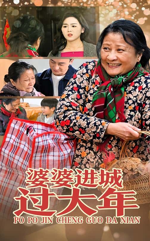 婆婆进城过大年(33集)