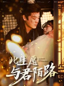 此生愿与君陌路(100集)