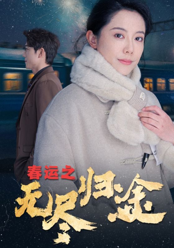 春运之无尽归途(49集)