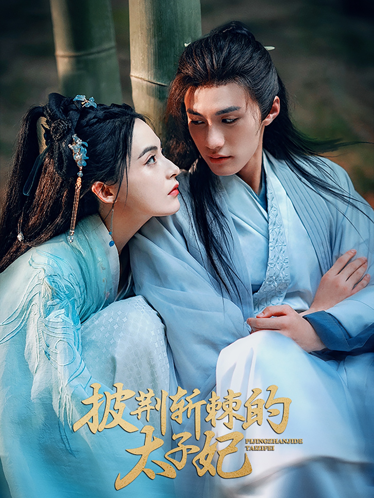 披荆斩棘的太子妃(80集)杨鹏丞&沈芝弈