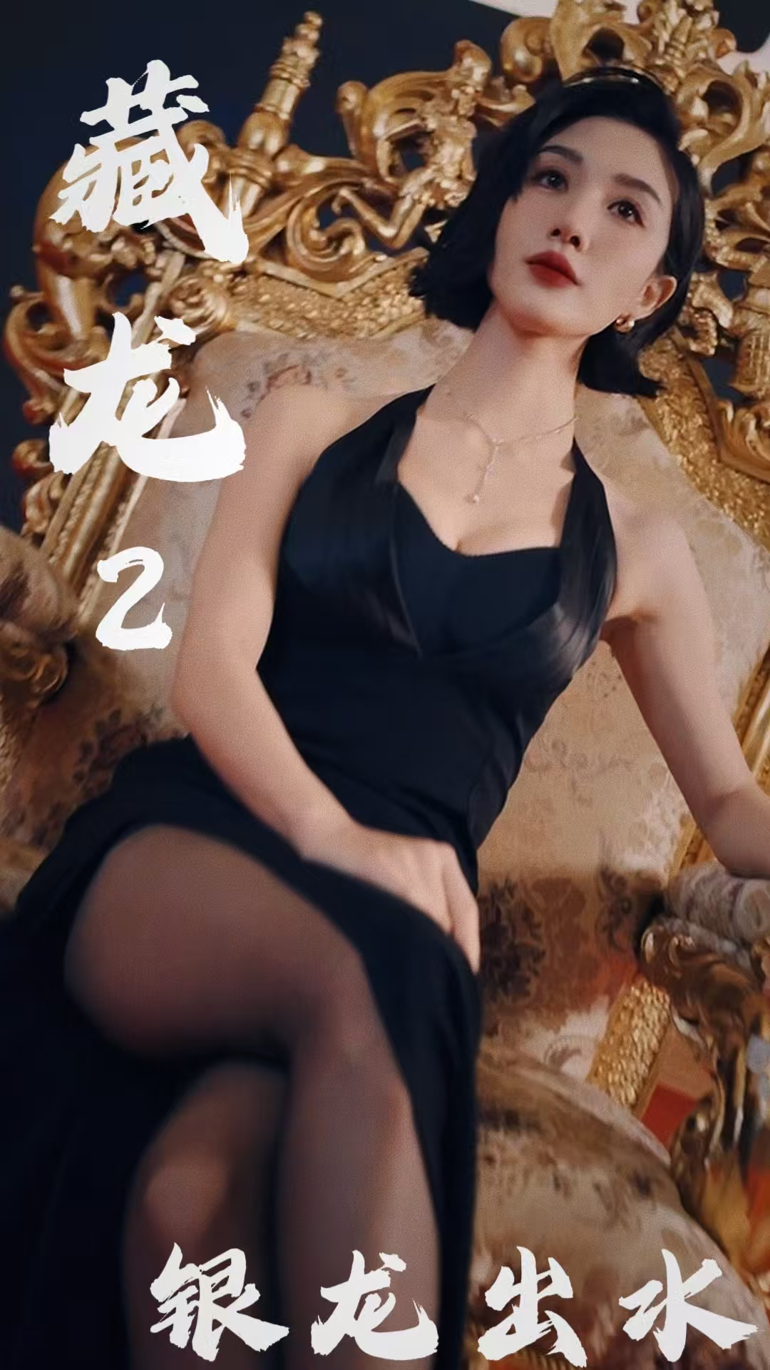 藏龙2银龙出水(35集)