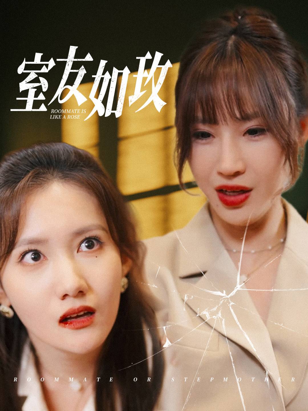 室友如玫(36集)