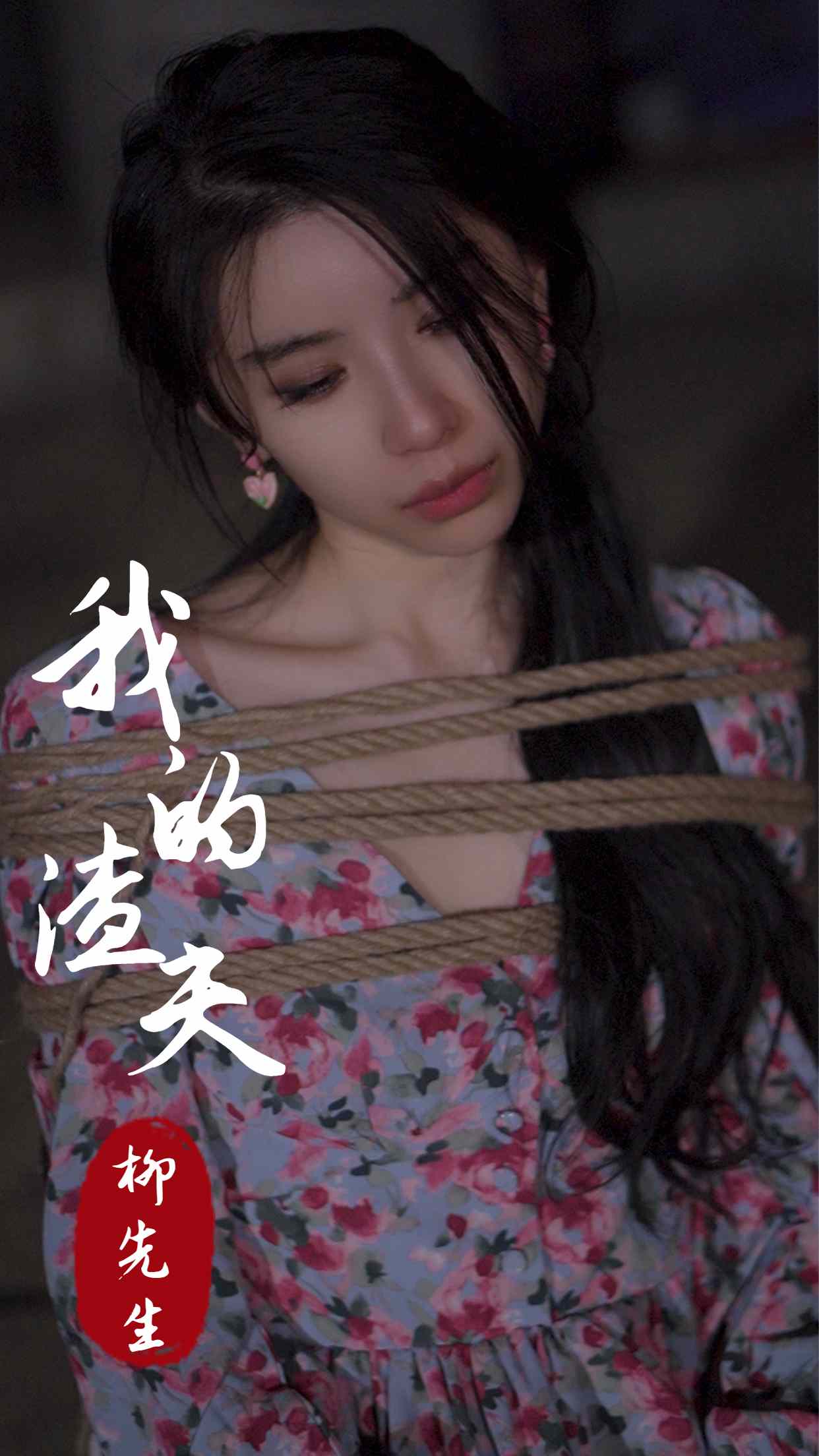 我的渣夫柳先生(80集)