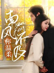 南风不及你温柔(74集)谢鸿鑫&李丫丫