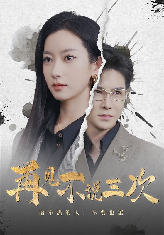 再见不说三次(71集)李子峰