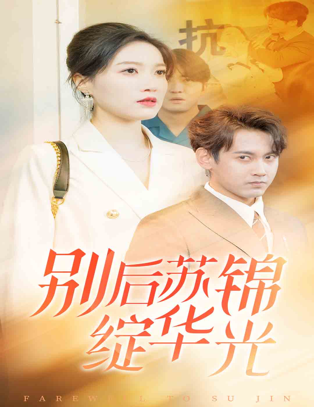 别后苏锦绽华光(61集)戴凤仪
