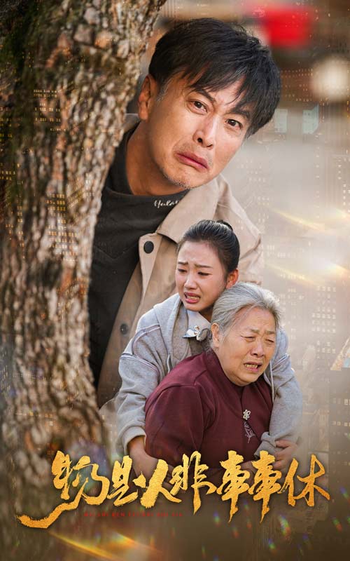 物是人非事事休(41集)