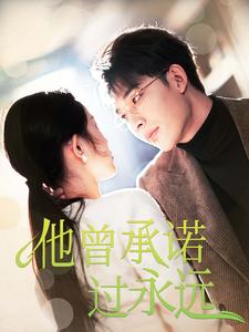 他曾承诺过永远(70集)