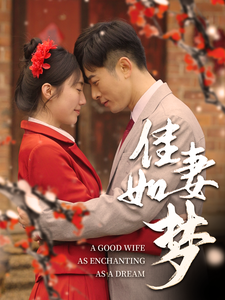 佳妻如梦(62集)