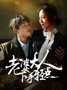 老婆大人下手轻点(30集)