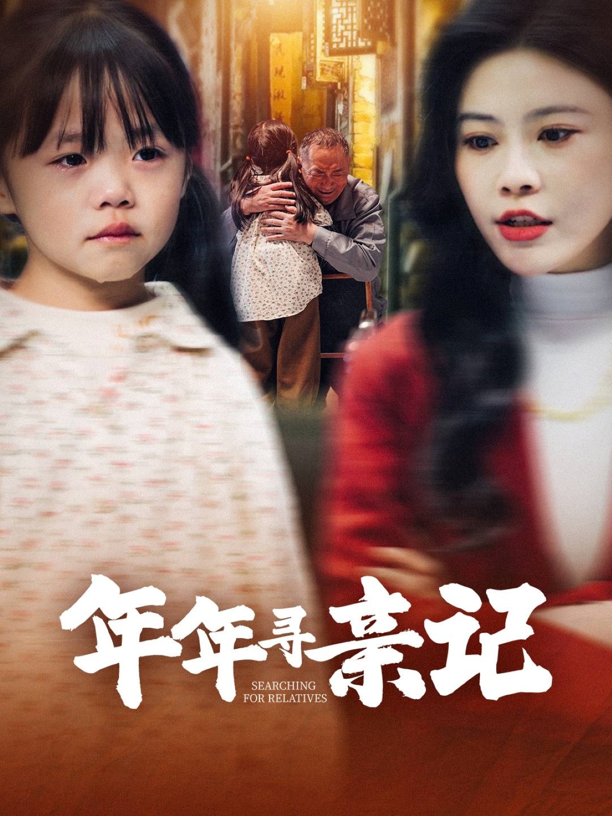 年年寻亲记(31集)谭心
