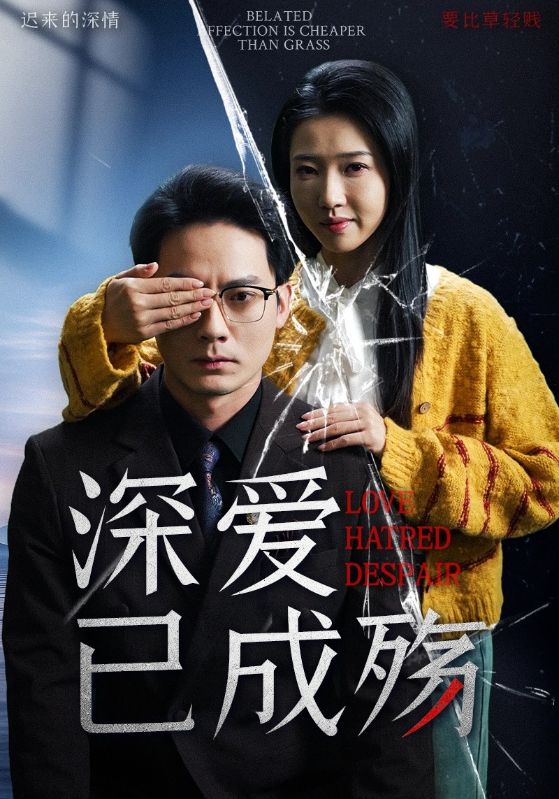 深爱已成殇(52集)程泽章&张启璇