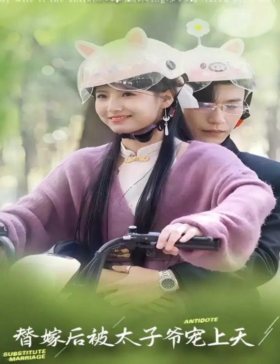 替嫁后被太子爷宠上天(80集)王槿&沉思