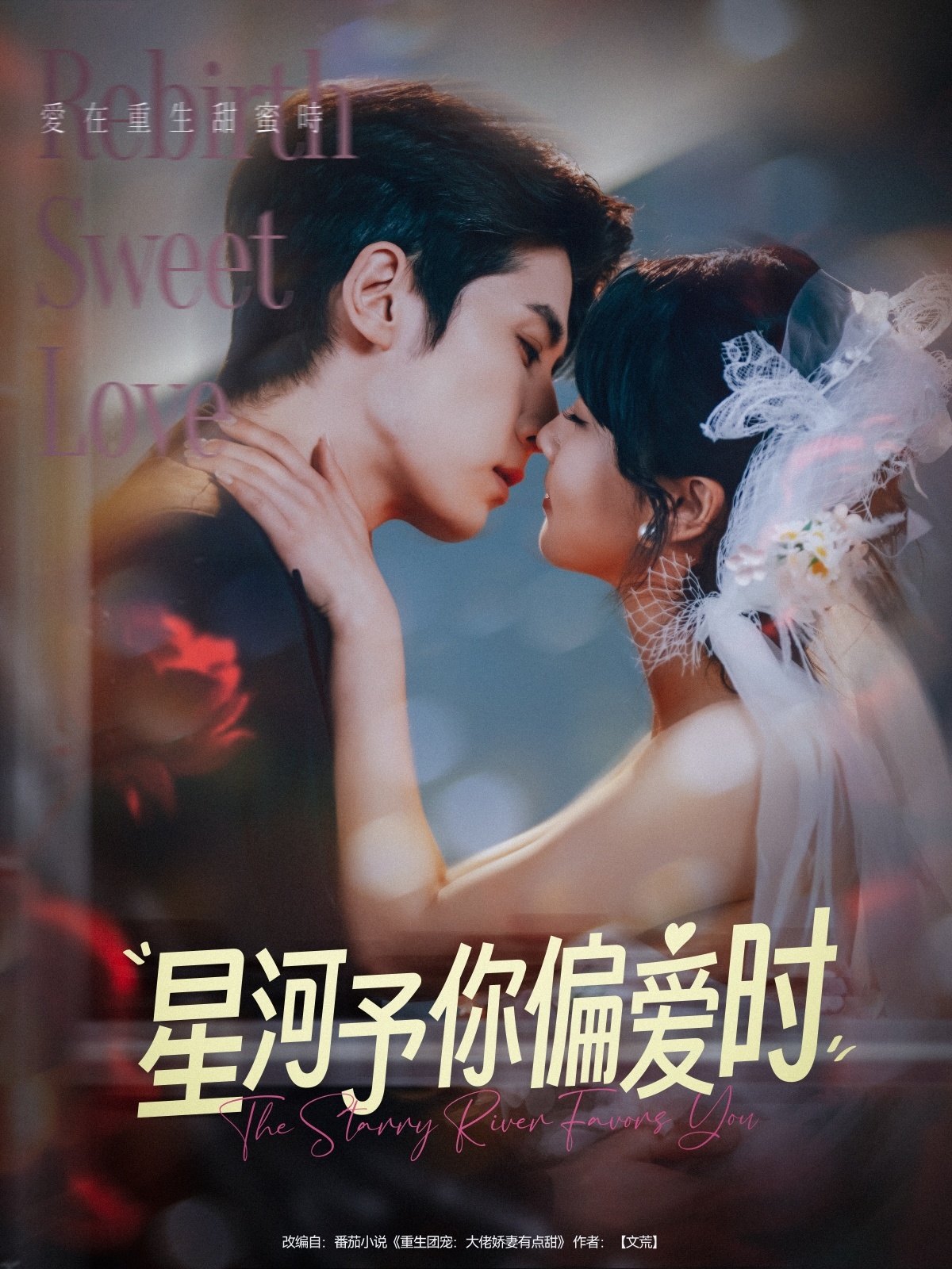 星河予你偏爱时(79集)林枫松&陈羽翎