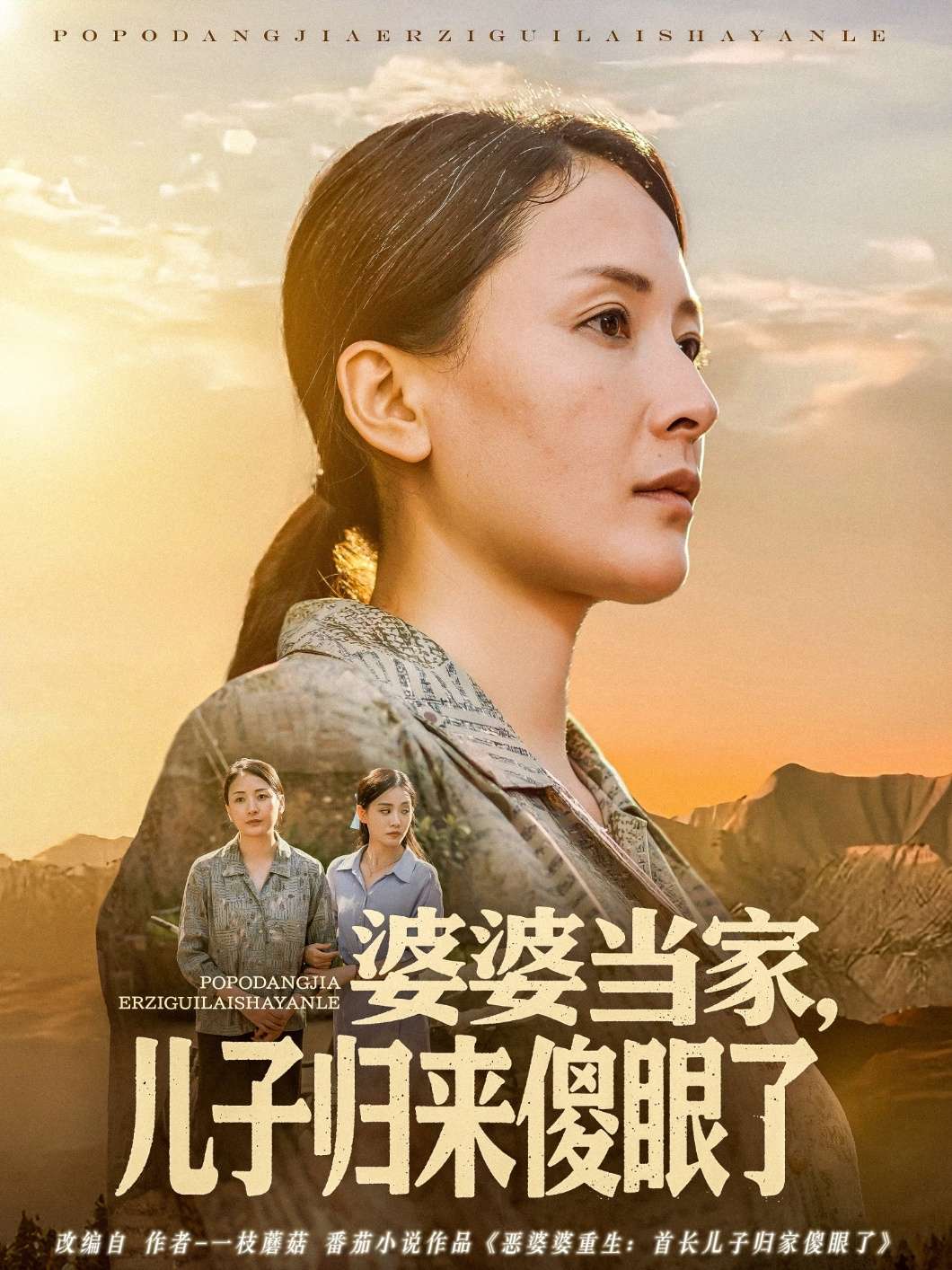 婆婆当家儿子归来傻眼了(80集)王亚杰&张雨霏