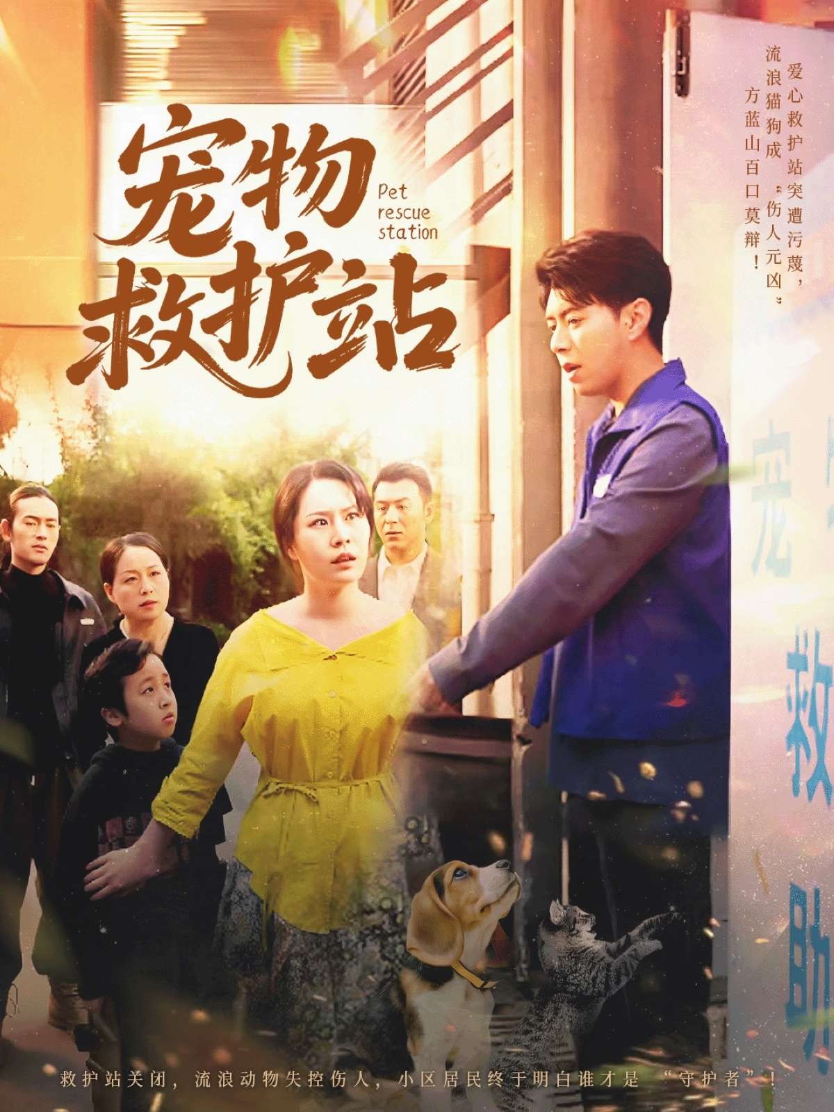宠物救护站(30集)魏晓慧&尹竹