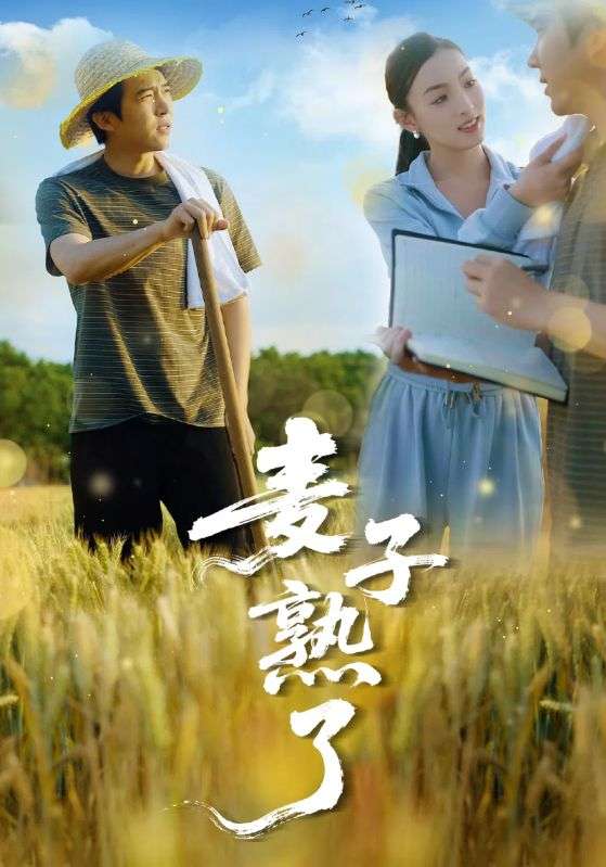 麦子熟了(52集)冯思源&宋雯娟