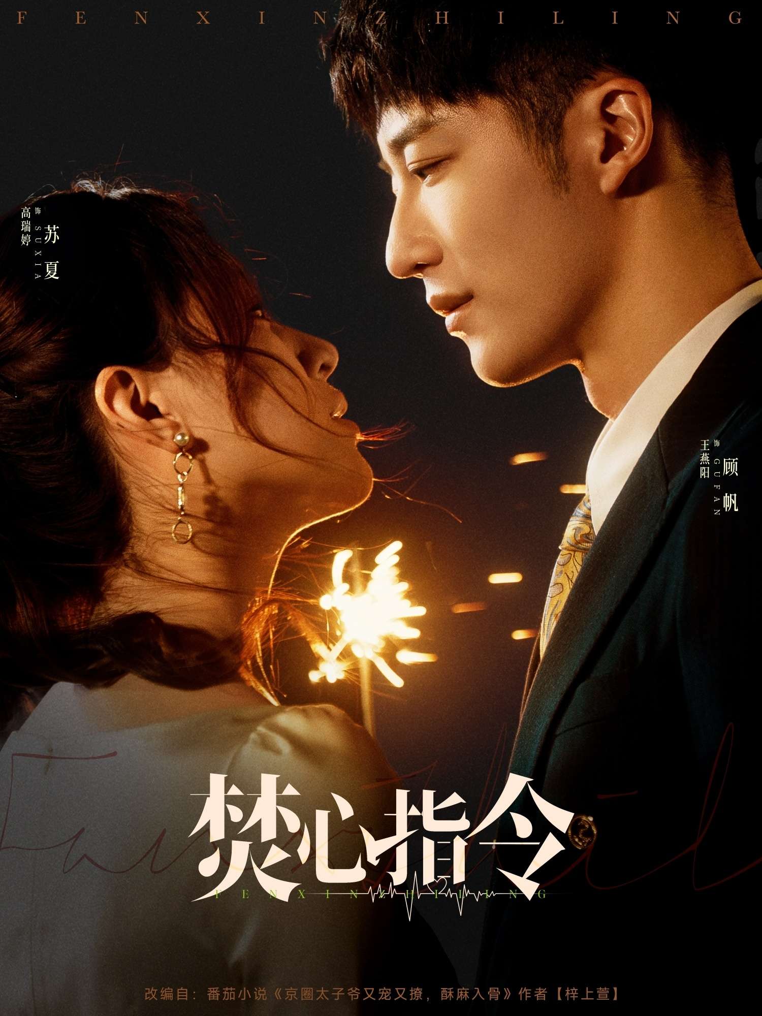 焚心指令(80集)王燕阳&高瑞婷