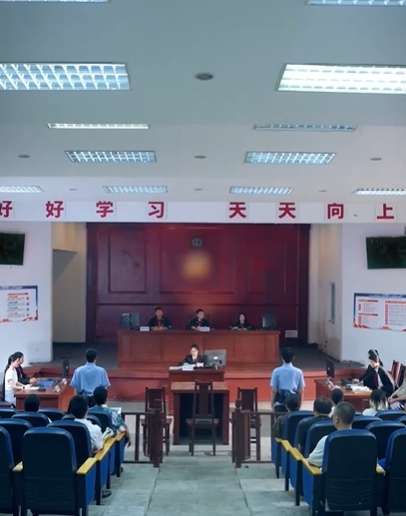 以法之名:罪无可赦(60集)