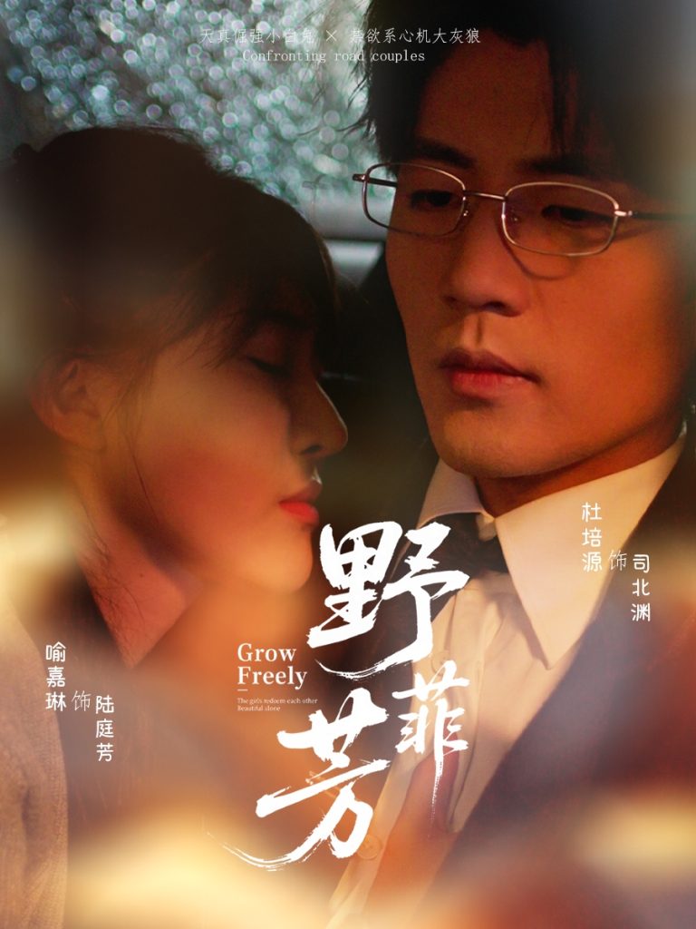 野芳菲（60集）喻嘉琳＆杜培源