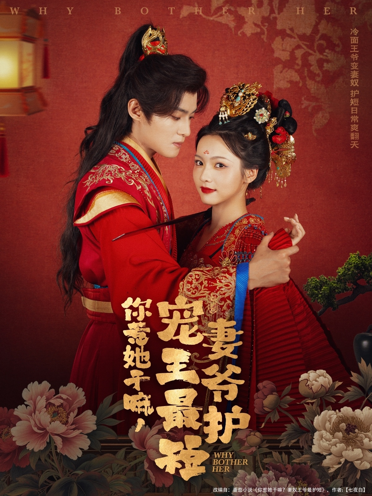 你惹她干嘛，宠妻王爷最护短（74集）谢鸿鑫＆羽翎