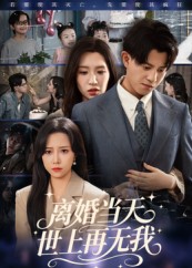 离婚当天世上再无我（60集）董劭辉