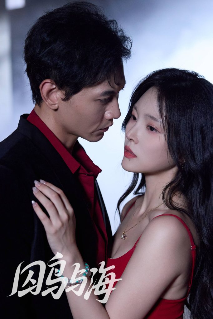 囚鸟与海（51集）苗雨峤＆徐菡琳