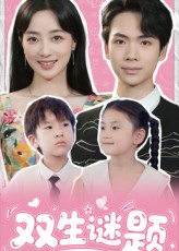 双生谜题(36集)