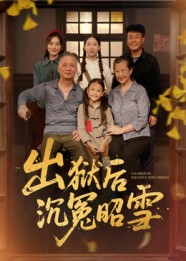 出狱后沉冤昭雪(44集)