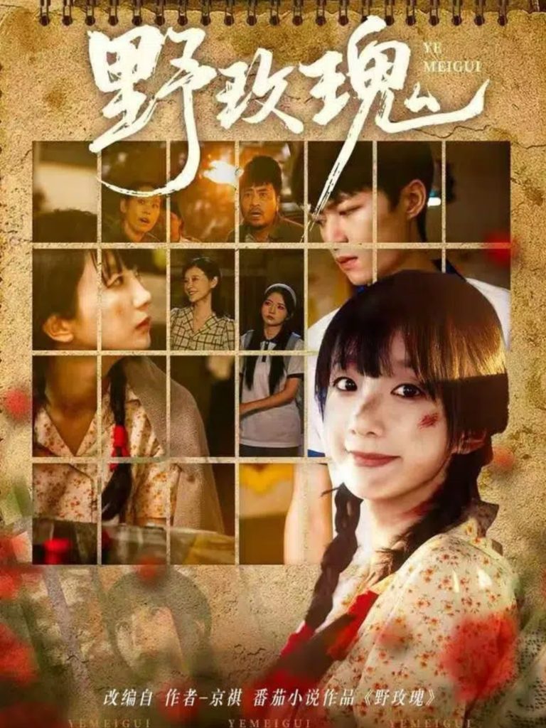 野玫瑰（82集）钊瑞＆象韵洁