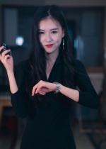 制裁者的游戏(25集)