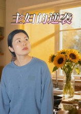 主妇的逆袭(28集)