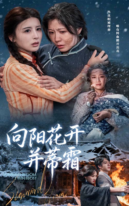 向阳花开并蒂霜(60集)燕颢元&李沁霏