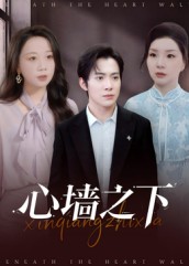 心墙之下(43集)赵宏甲&郑抒淼