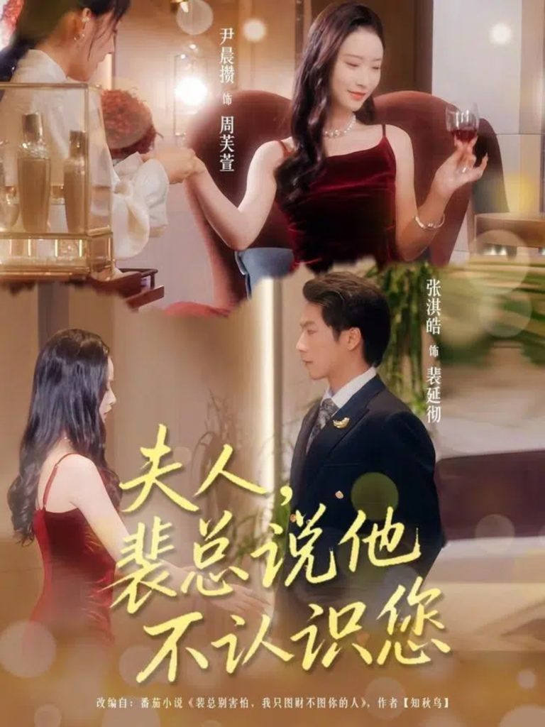 夫人裴总说他不认识您(75集)张淇皓&尹晨攒