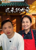 迟来的母爱（42集）宋军